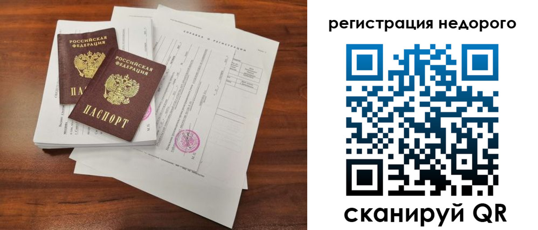 где прописаться в Коле